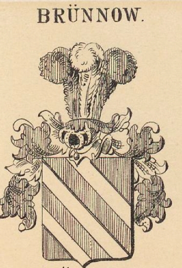 Bruennow Coat of Arms / Family Crest 0