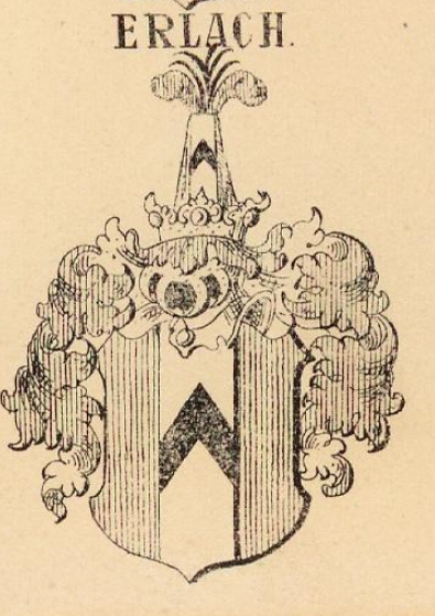 Erlach Coat of Arms / Family Crest 1