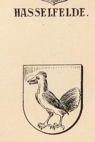Hasselfelde Coat of Arms / Family Crest 0