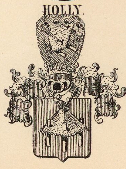Holly Coat of Arms / Family Crest 0
