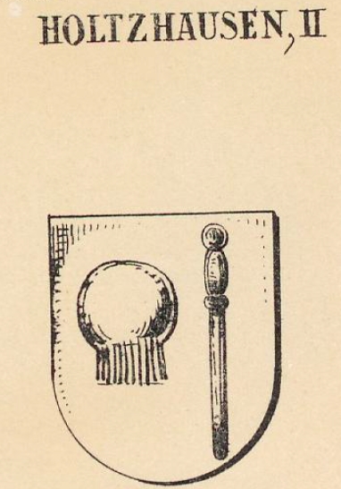 Holtzhausen Coat of Arms / Family Crest 0