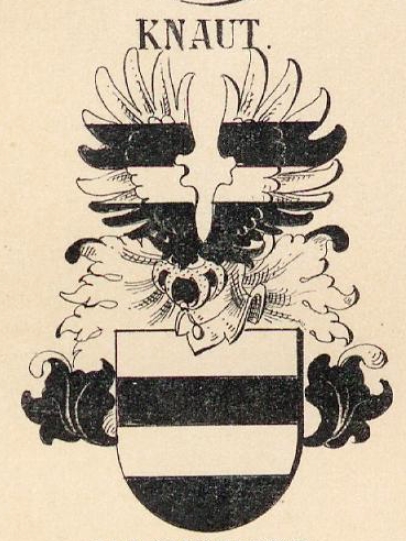 Knaut Coat of Arms / Family Crest 0