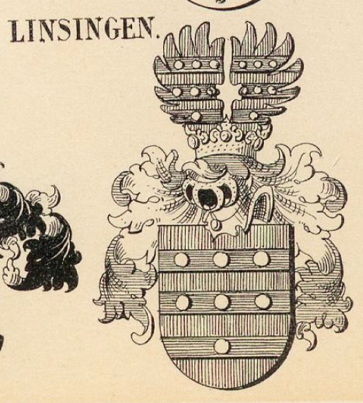 Linsingen Coat of Arms / Family Crest 0