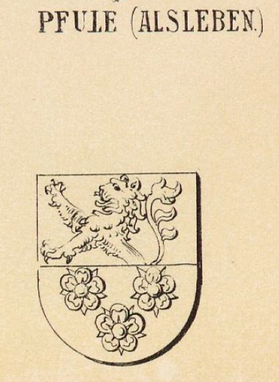 Pfule Coat of Arms / Family Crest 0
