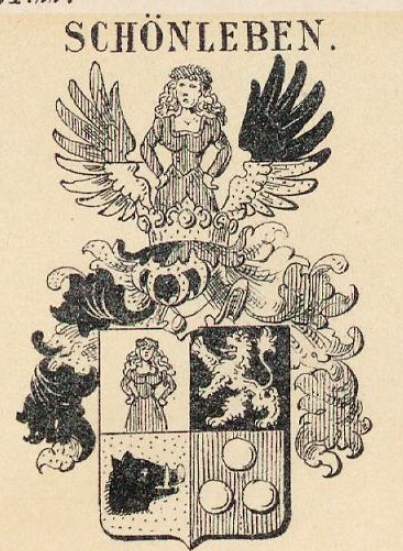 Schoenleben Coat of Arms / Family Crest 0