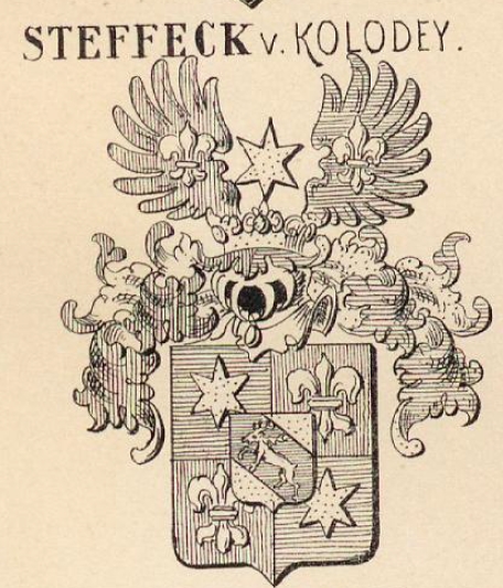 Steffeck Coat of Arms / Family Crest 0