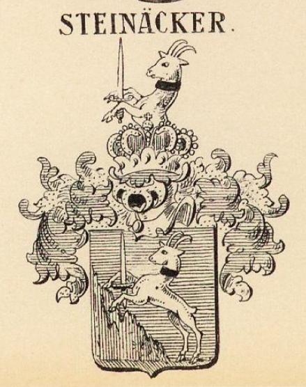 Steinaecker Coat of Arms / Family Crest 0