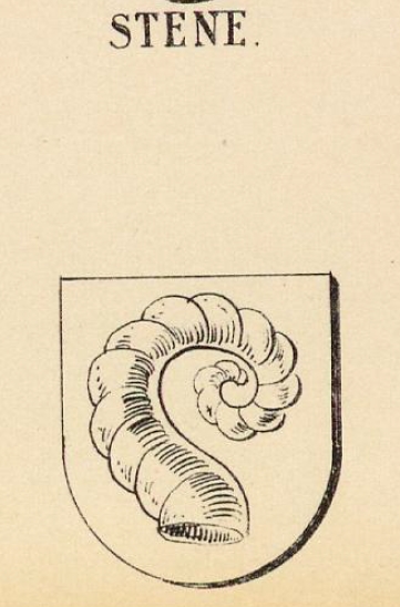 Stene Coat of Arms / Family Crest 0
