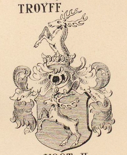 Troyff Coat of Arms / Family Crest 0
