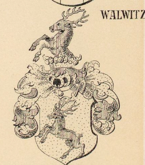 Walwitz Coat of Arms / Family Crest 0