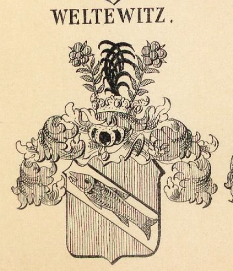 Weltewitz Coat of Arms / Family Crest 0