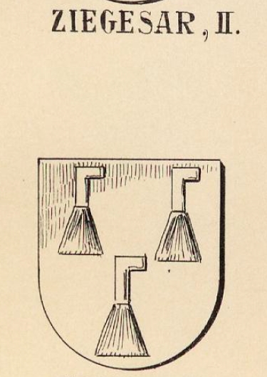 Ziegesar Coat of Arms / Family Crest 0