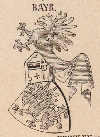 Bayr Coat of Arms / Family Crest 0