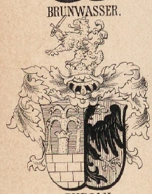 Brunwasser Coat of Arms / Family Crest 0