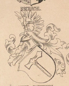 BSCHACHL Coat of Arms / Family Crest 0
