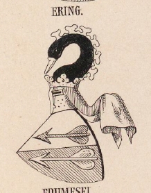 Ering Coat of Arms / Family Crest 0