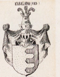 Hasslang Coat of Arms / Family Crest 0