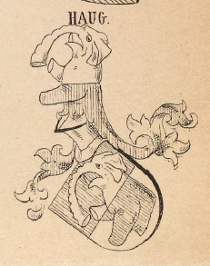 Haug Coat of Arms / Family Crest 0