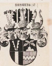 Haunsberg Coat of Arms / Family Crest 0
