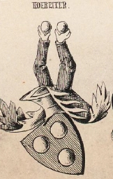 Hoefreiter Coat of Arms / Family Crest 0