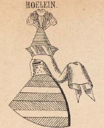 Hoelein Coat of Arms / Family Crest 0