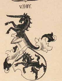 Hoy Coat of Arms / Family Crest 0