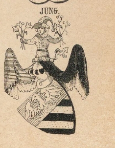 Jung Coat of Arms / Family Crest 3