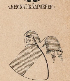 Kemnat Coat of Arms / Family Crest 1