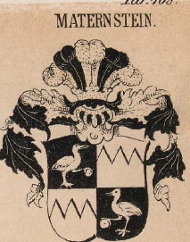 Maternstein Coat of Arms / Family Crest 0