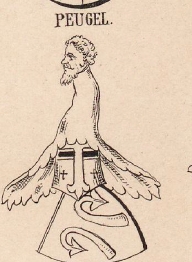 Peugel Coat of Arms / Family Crest 0