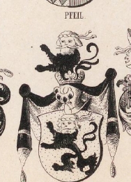 Pfeil Coat of Arms / Family Crest 0