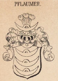 Pflaumer Coat of Arms / Family Crest 0