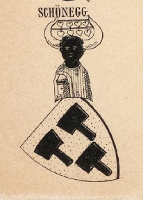 Schonegg Coat of Arms / Family Crest 0