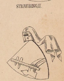 Straubing Coat of Arms / Family Crest 0