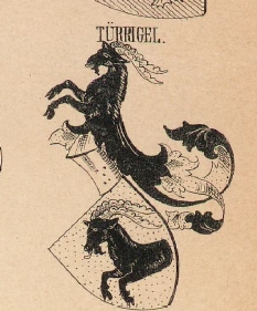 Turrigel Coat of Arms / Family Crest 0