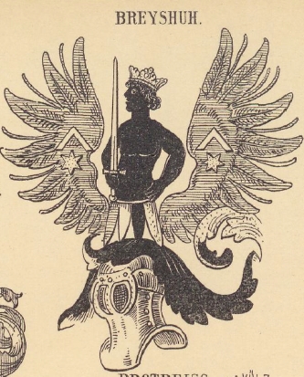 Breyshuh Coat of Arms / Family Crest 0