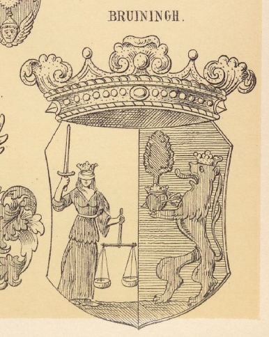 Bruiningh Coat of Arms / Family Crest 1