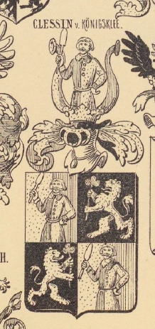 Clessin Coat of Arms / Family Crest 0