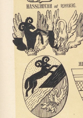Hasslbechh Coat of Arms / Family Crest 0