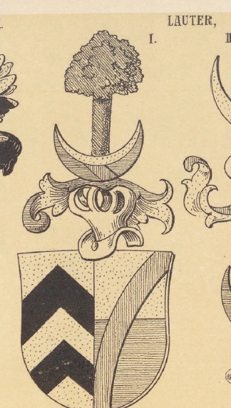 Lauter Coat of Arms / Family Crest 0