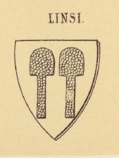 Linsi Coat of Arms / Family Crest 0