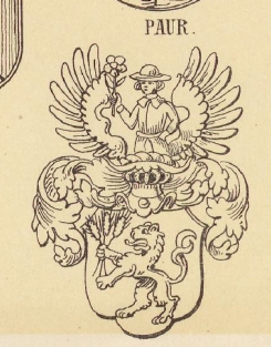 Paur Coat of Arms / Family Crest 4