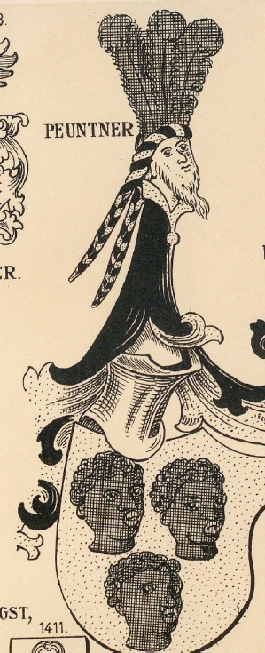 Peuntner Coat of Arms / Family Crest 0