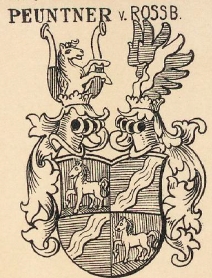 Peuntner Coat of Arms / Family Crest 1