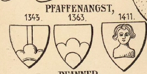 Pfaffennangst Coat of Arms / Family Crest 0