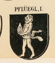 Pfluegl Coat of Arms / Family Crest 0