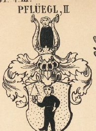 Pfluegl Coat of Arms / Family Crest 1