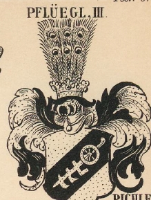 Pfluegl Coat of Arms / Family Crest 2