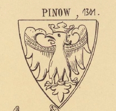 Pinow Coat of Arms / Family Crest 0