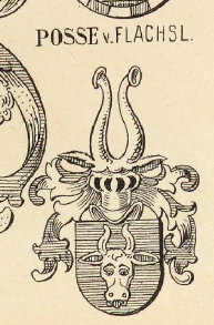 Posse Coat of Arms / Family Crest 1